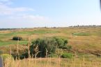 IMG_2939-1366