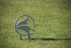 7_by_24_Golf_Tournament_08052022_0078-1366