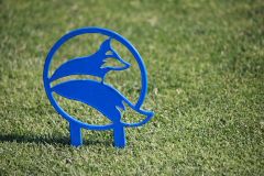 7_by_24_Golf_Tournament_08052022_0118-1366