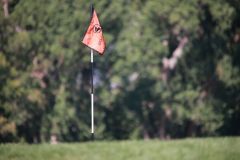 7_by_24_Golf_Tournament_08052022_0167-1366
